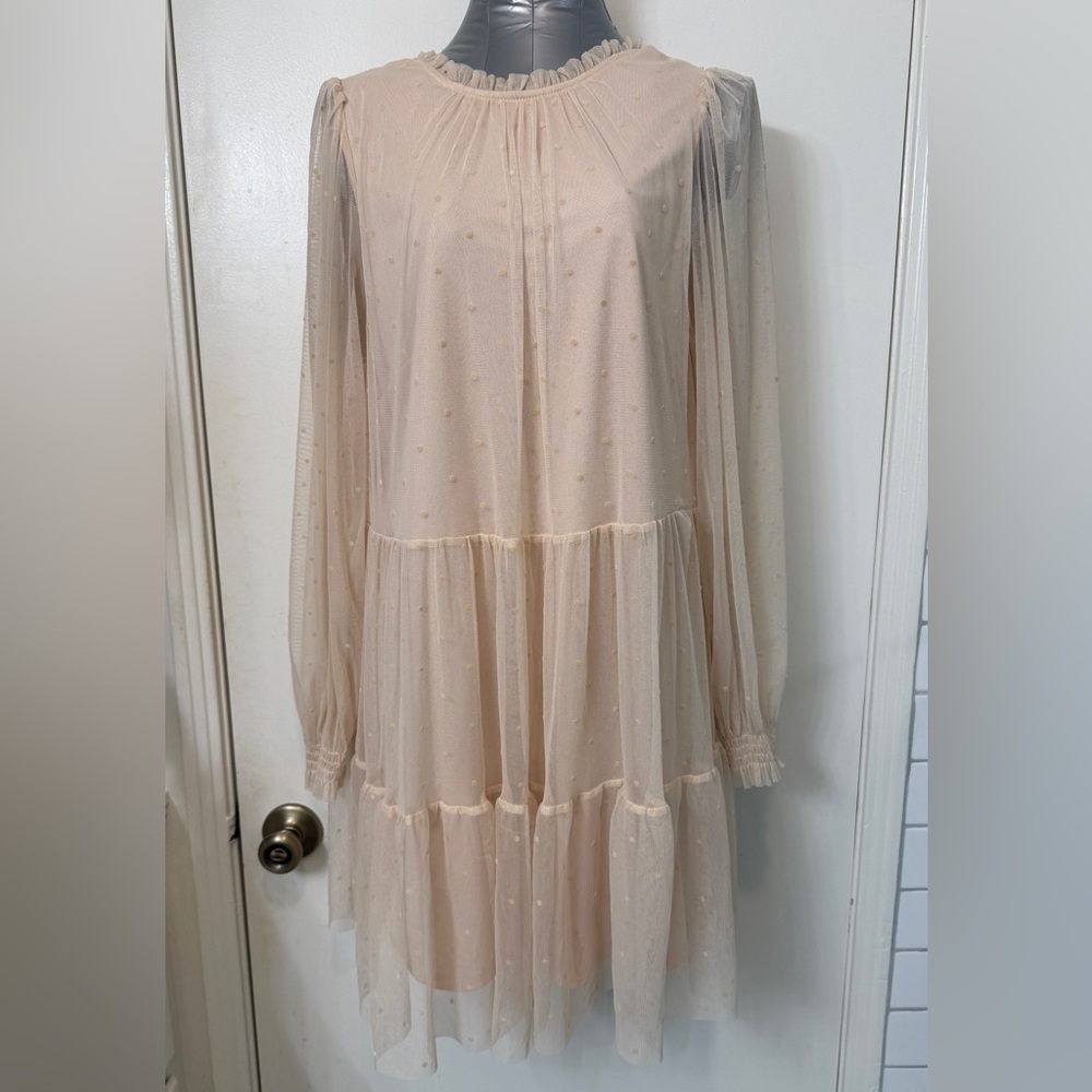 H&M Blush Swiss Dot Tulle Dress S | Sheer Long Sleeve Tiered Romantic